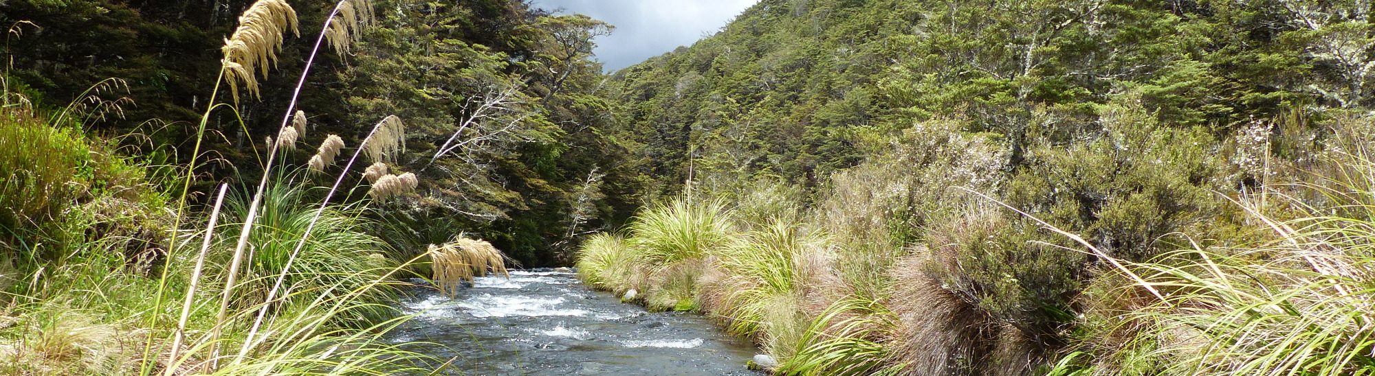 Energy water flow adaptability outdoor training